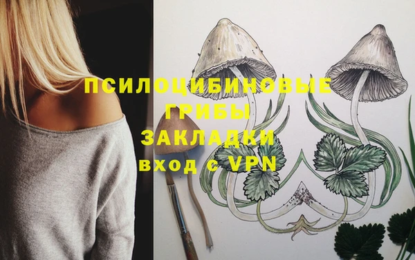спиды Алексеевка